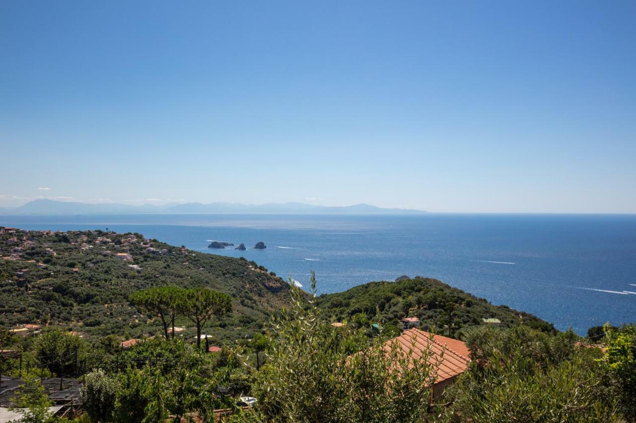 Geca'S House - Panoramic Sea View Studio Масса-Лубренсе Экстерьер фото